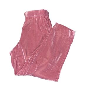 J Crew Mercantile Pink Velvet Dress Pants